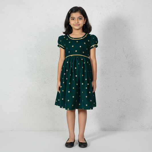 royal princess velvet dress baby girl